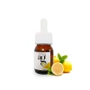 Guy Demarle Arômes Et Extraits*Arôme naturel citron 30 ml