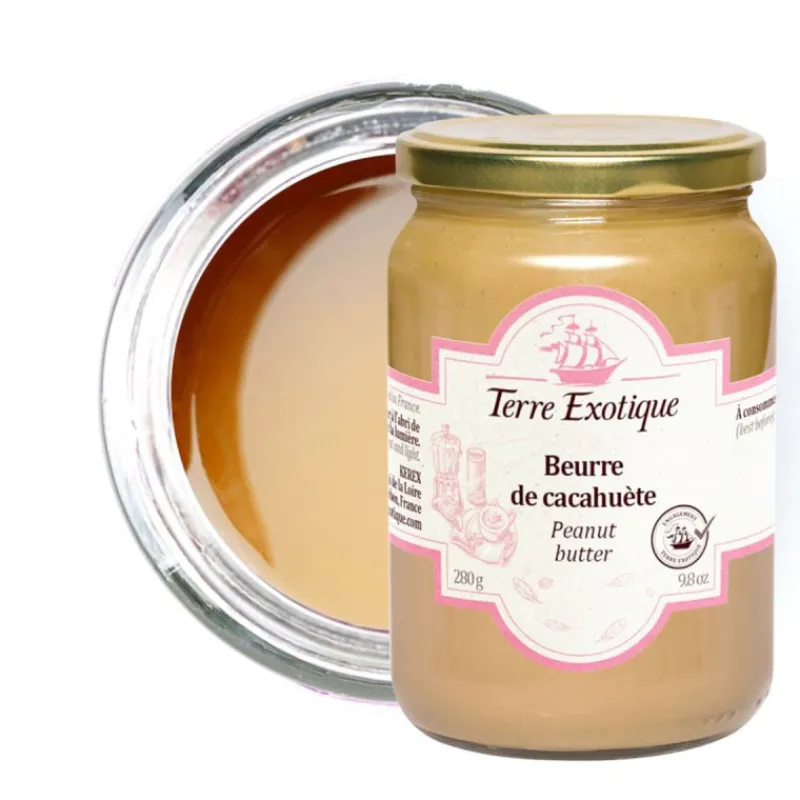 Guy Demarle Pâtes Et Coulis Sucrés*Beurre de cacahuète 280g