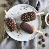 Guy Demarle Moules À Glaces|Accessoires*Bâtonnets de glace en bois - Grand format