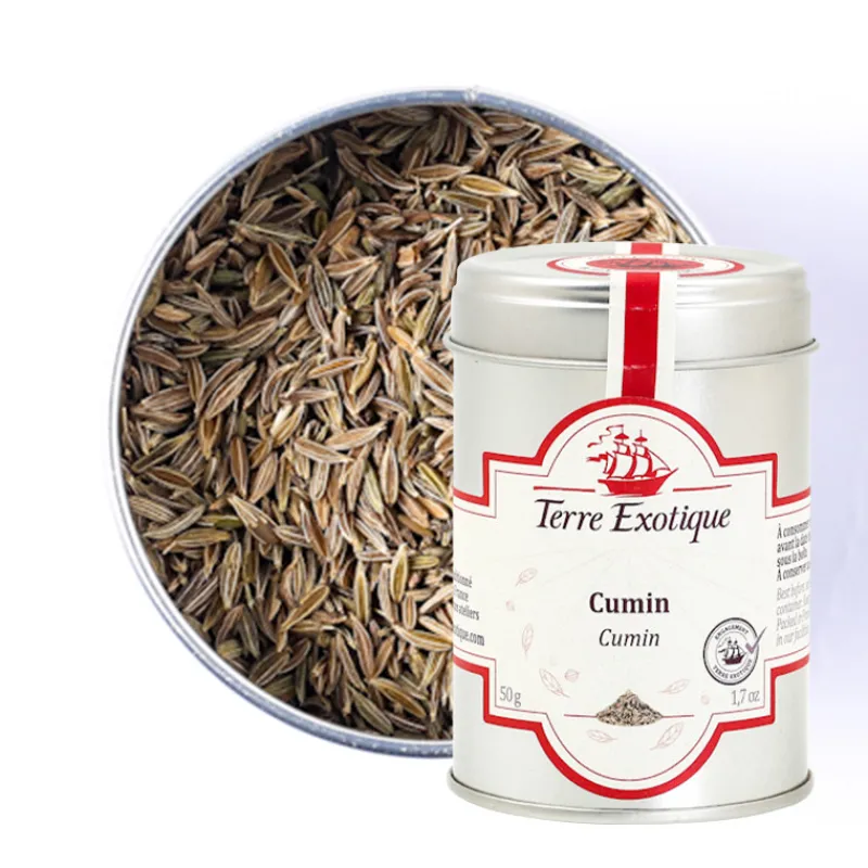 Guy Demarle Épices Et Condiments*Cumin 50 g