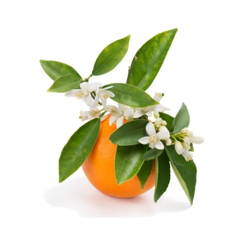 Guy Demarle Arômes Et Extraits*Eau de fleur d'oranger 100 ml