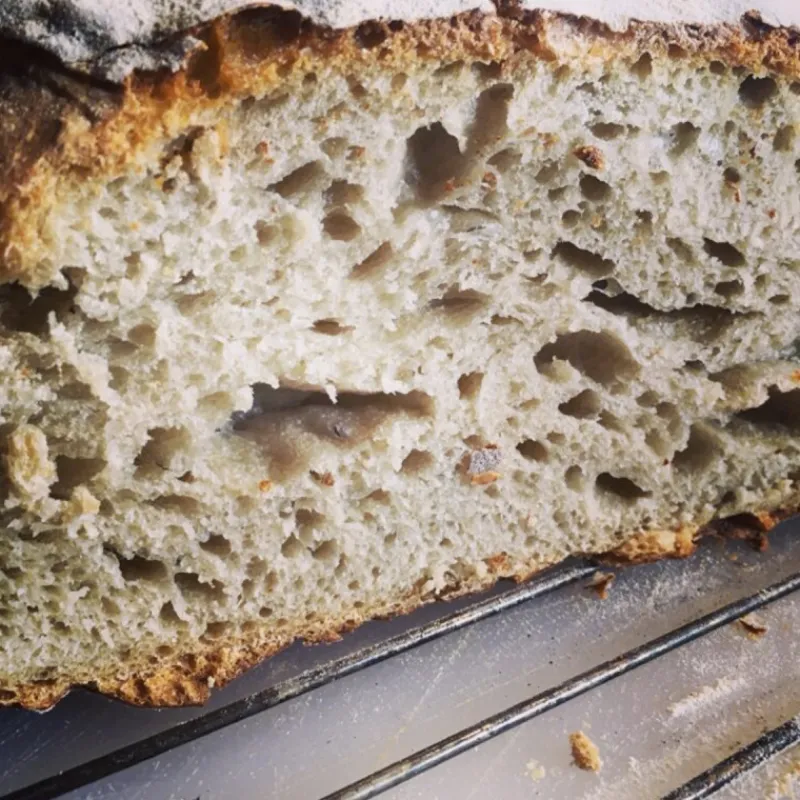 Guy Demarle Produits Bio|Pâtes À Pain Et Levures*Levain biologique 100% naturel en paillettes 50g