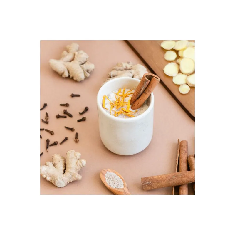 Guy Demarle Produits Bio|Infusions Et Bouillons*Mix d'épices pour Tchaï latte bio 70g