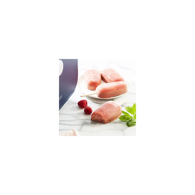Guy Demarle Ingrédients Techniques*Mix sorbet 300 g