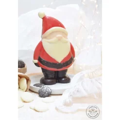 Guy Demarle Décors|Moules À Chocolats*Moule 3D choco Père Noël