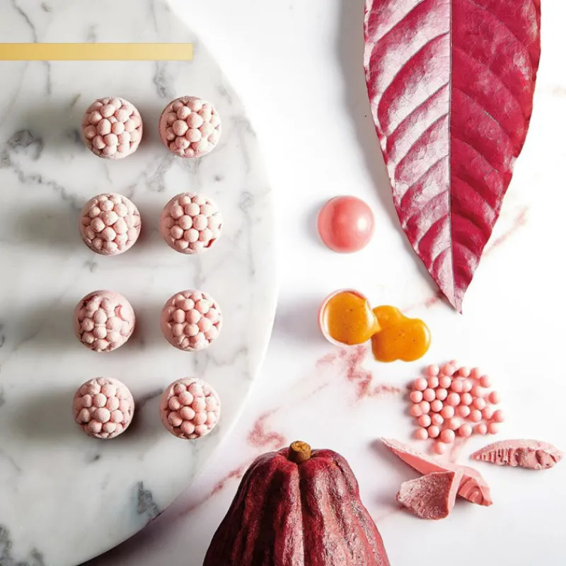 Guy Demarle Décors Comestibles|Décors En Sucre*Perles croustillantes chocolat Ruby 800g
