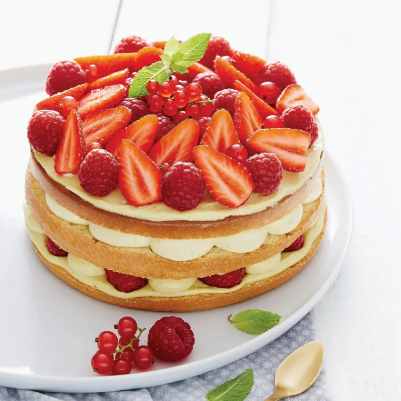 Guy Demarle Préparations À Gateaux|Ingrédients Techniques*Préparation génoise facile