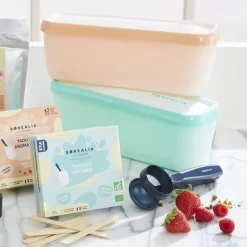 Guy Demarle Accessoires|Bacs À Glace*Set de 2 bacs à glace