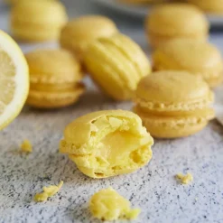 Guy Demarle Accessoires|Plaques Et Cuisson*Toile de cuisson Macarons - Signature Maëlig Georgelin